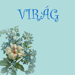 vir�g